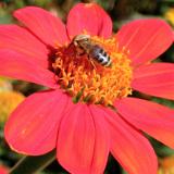 1201S 08 Schloss Neuhaus Aug 03